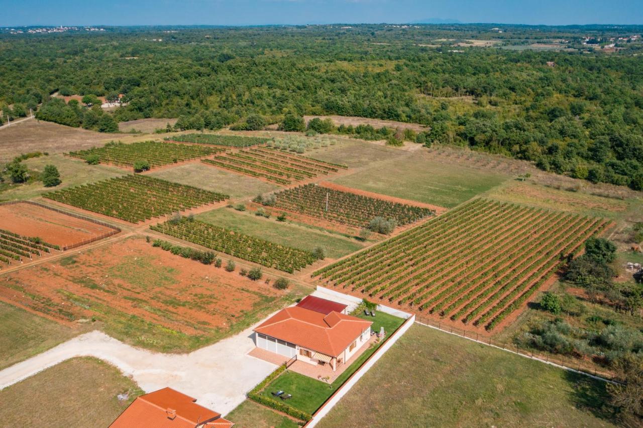 Villa Gracia Sveti Lovreč Pazenatički Exteriör bild